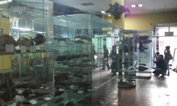 Trujillo Zoological Museum