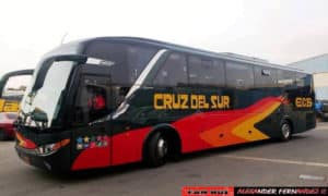 cruz bus