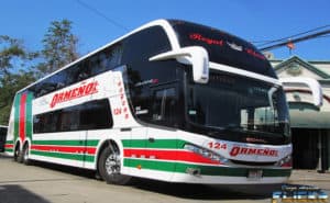 ormeño bus