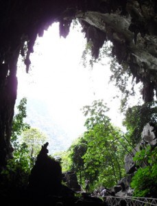 travel-vaccinations-peru-rabies-caves
