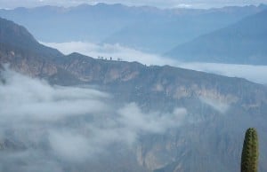 colca-canyon-peru-travel