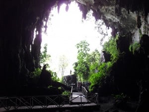 La Cueva de las Lechuzas in Tingo Maria National Park