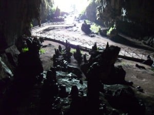 Stalagmites in oilbird cave