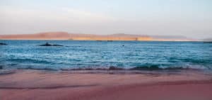 dramatic view of paracas coast washed by the ocean