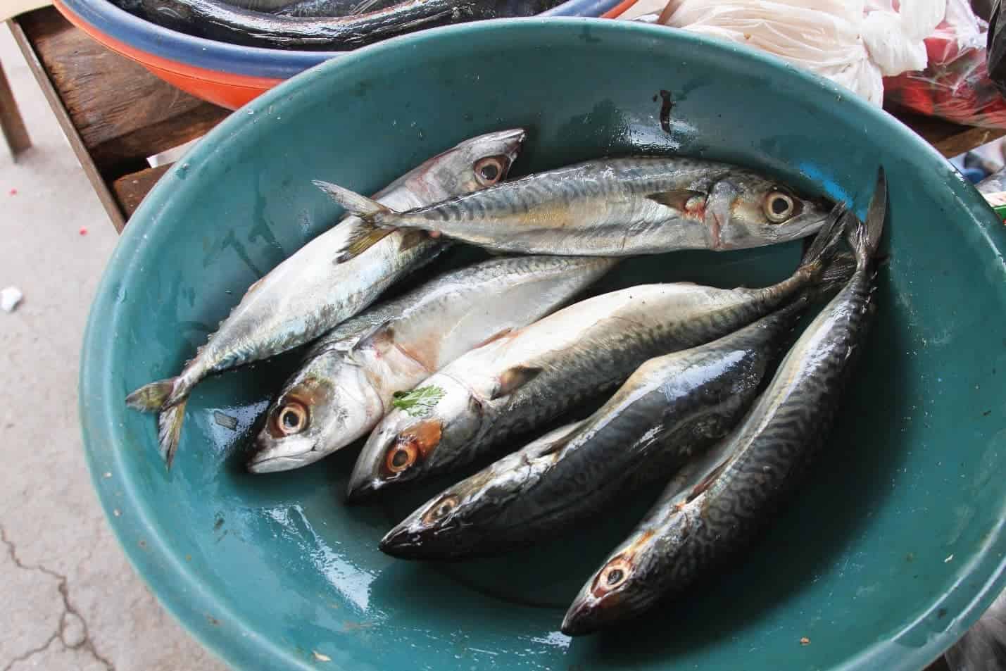 fishing in cabo blanco 