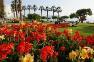 Parque de Amor - What to do on your layover in Lima