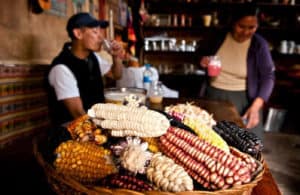 What Is Chicha Peru S Corny Drink How To Peru