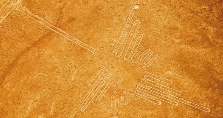 humming bird Nazca Lines Peru
