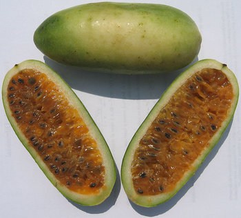 peruvian fruits and vegetables - tumbo fruit