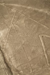 Nazca Lines Spider