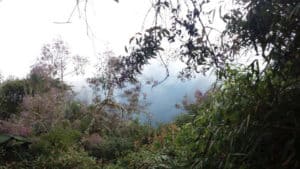 Inca Jungle Trek Wilderness