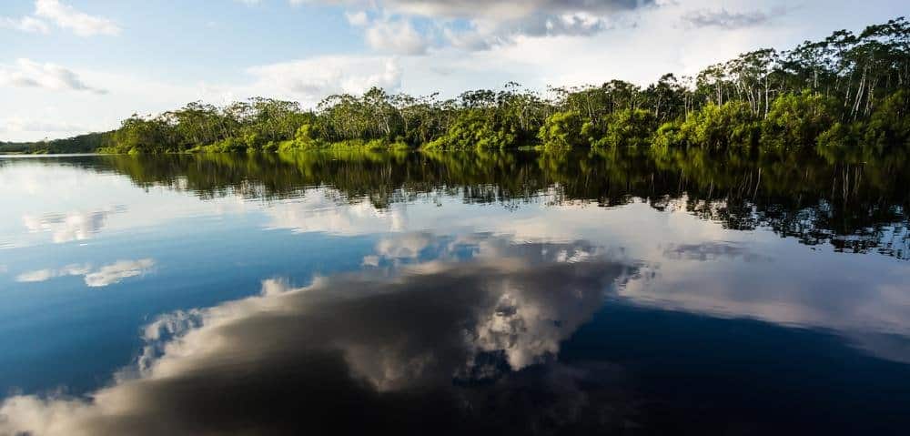 Lake Sandoval Beautiful Oxbox Lake in Tambopata National Reserve in Peruvian Amazon Jungle