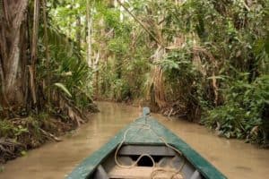 Canoe on River in Tambopata National Reserve in Peruvian Amazon