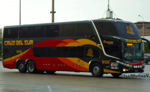 cruz del sur bus company